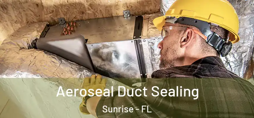  Aeroseal Duct Sealing Sunrise - FL